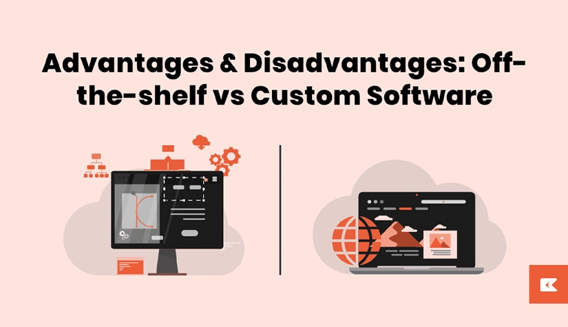 Custom vs Off-the-Shelf Web Application